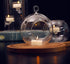 12 Pcs 3.15"/ 8cm Hanging Candle Holder Glass Globes for Candles, Air Plant Holders Terrarium Hanging Tea Lights Candle Holder Home Wedding Party ...