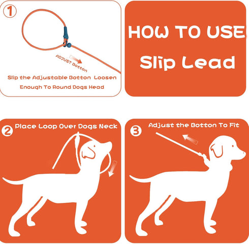 No Pull Dog Leash Slip Lead Dog Leash Dog Leash for Small Medium Large Dogs 6Ft 8 Colors Classic Dog Leash Dog Rope (Orange)...