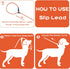 No Pull Dog Leash Slip Lead Dog Leash Dog Leash for Small Medium Large Dogs 6Ft 8 Colors Classic Dog Leash Dog Rope (Orange)...