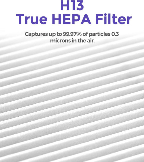 1-Year Pack Air Purifier Replacement Filter for AP001R, True HEPA Filter, 4 Pack...