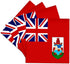 3dRose cst_28228_3 Bermuda Flag-Ceramic Tile Coasters, Set of 4...