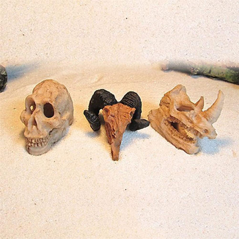 Toukero3e Terrarium Aquarium Skull Decor, 3 Pack Aquarium Skull Miniature Landscape, Rhino, Ram Head Skull, Ape Skull, Realistic Terrarium Habitat...