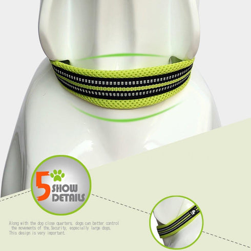 Creation Core Reflective Mesh Padded Dog Collar Adjustable Nylon Outdoor Adventure Pet Collar, Green M...