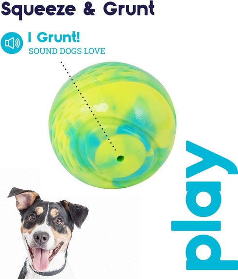 Petstages Grunt N' Punt Tennis Ball - Fetch Ball Dog Toy...