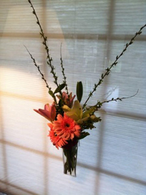 Gadjit Vinyl Window Vase Shaped Like a Flower Pot - Suctions to Windows and Mirrors, Holds Bouquet of Flower Stems and Water, Clear Flexible Vinyl...