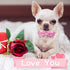 azuza Valentine's Day Dog Collar Bow tie, Lovely Pink Dog Collars with Bowtie for Medium Dogs...