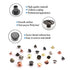 150 Sets Chicago Screw Kit 6 Color Leather Rivets Screw Rivets Chicago Screw Buttons DIY Leather Trim Black Silver Gold Copper Rose Gold ?M5*4 * 2...