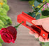 AKOAK 1 Pack Rose Pliers Metal Stem and Leaf Stripper Rose Burr Removal Flower Shop DIY Cutting Tools Flower Pruning Pliers (Red)...