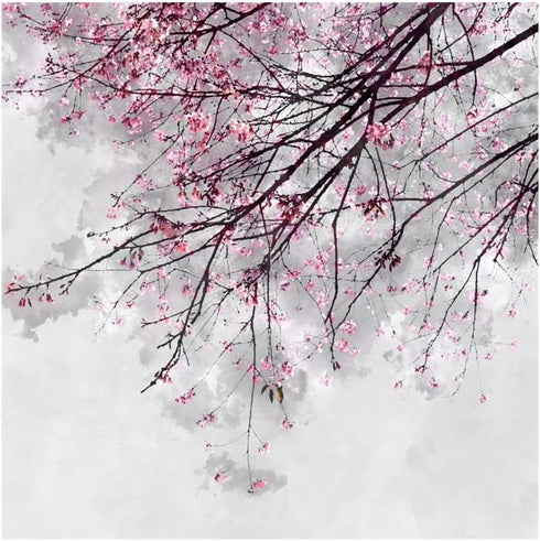 OERJU Cherry Blossoms Shower Curtain Pink Flower Japanese National Flower Bath Curtain Waterproof Polyester Fabric Bathroom Decor Set with Hooks 7...