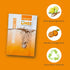 Dazz Bathroom Cleaner Starter Kit (1 Reusable Spray Bottle, 2 Refills) Tile, Tub Shower, Countertop and Bathroom Surfaces - All Natural, Eco Frien...