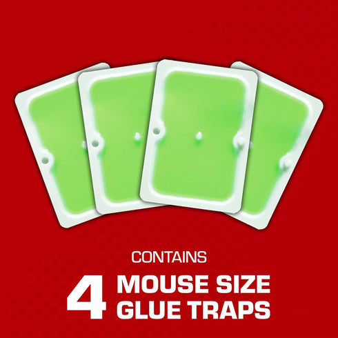 Tomcat Super Hold Glue Traps Mouse Size for Mice, Cockroaches, Spiders, and Scorpions, Ready-To-Use, 4 Traps...