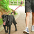 Marvelous Strong Dog Leash with Comfortable Nylon Handle and Highly Reflective Threads for Large and Medium Dogs (Red)...