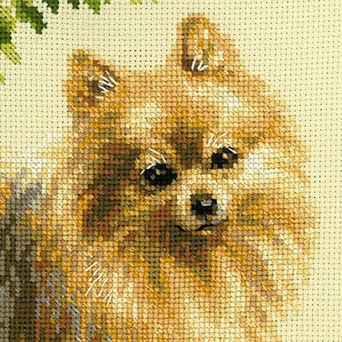 RIOLIS Cross Stitch Kit 9.75"X9.75"-Pomeranian (14 Count)...