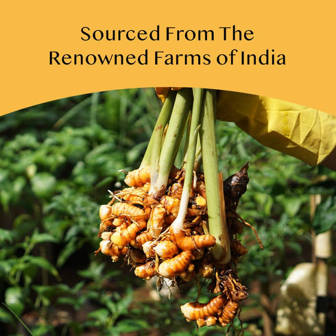 VAHDAM, Organic Turmeric Ginger Herbal Tea Bags (18 Count) Caffeine Free, Gluten Free | 100% Pure Herbal Blend - Earthy & Savory | Eco-Friendly In...