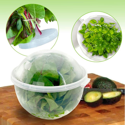 Trenton Gifts Lettuce And Vegatable Storage Keeper | 7" X 8"...
