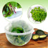 Trenton Gifts Lettuce And Vegatable Storage Keeper | 7" X 8"...
