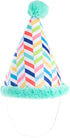 Fringe Studio Plush Dog Toy, Cheers for A Barkday, Pet Shop Collection (314246)...