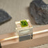 Sumgsn SA Keycaps Shine Through Custom Keycaps Resin Artisan Key caps for Mechanical Keyboard Cherry MX Switches R4...