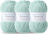 3PCS 3.5oz Chenille Yarn for Blankets Amigurumi: Soft Velvet Baby Yarn Blanket Knitting and Crocheting Bulky 5# Yarn 3 Skeins of 100g (Mint Green)...