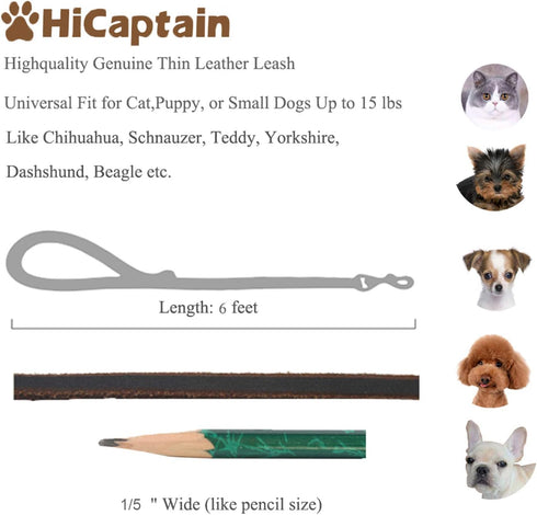 HiCaptain Thin Leather Pet Leash, Durable Dog Leashes Suit for Small Dog Up to 15 lb 00(1/5 inch Wide, 6 Ft) Brown...