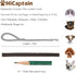 HiCaptain Thin Leather Pet Leash, Durable Dog Leashes Suit for Small Dog Up to 15 lb 00(1/5 inch Wide, 6 Ft) Brown...
