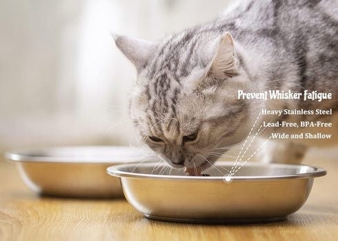 Stainless Steel Cat Bowls, Whisker Fatigue Relief Cat Food Dish, Metal Shallow Wide Large Replacement Plate for Dog and Pet, Ideal for Raised Elev...