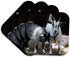 3dRose LLC Pygmy Goat Coaster, Soft, Set of 4...