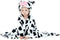 MICHLEY Baby Hooded Swaddling Blanket for Boys Girls, Animal Face Toddler Fall Winter Throw Blankets 0-3 Years(Cow)...