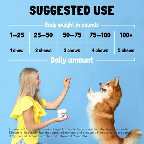 Dog Vitamins - 120 Multivitamins Chews w/Glucosamine Chondroitin, Probiotics Digestive Enzymes and Omegas - Supplement for Overall Health - Joint ...