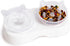Elevated Cat Slow Feeder Bowl: Anti-Vomiting Bloat Stop Raised Food & Water Bowl for Kitten Healthy, Double Kitty with 5°Tilted Raised Cat Dishes,...