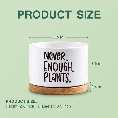 Succulent Planter Pots, Cactus Flower Pot with Drainage Tray, Plant Lovers Pot, Small Succulent Pots for Indoor Garden, White Mini Ceramic Plant P...