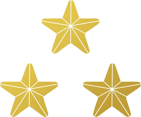 Hemway Craft Glitter - 1/5" 0.2" 5mm - 3-D Embossed Star Shaped Glitter Sequin for Decoration, Scrapbook, Arts, Craft, Design, Nail and Cosmetics ...