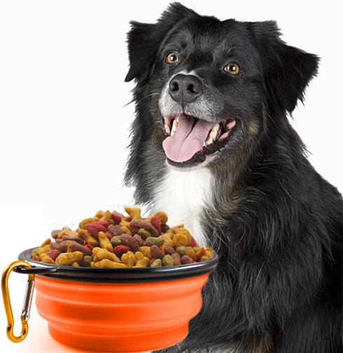 Collapsible Dog Bowl, 4 Pcs Collapsible Dog Water Bowls for Dogs Cats, Portable Pet Feeding Watering Dish for Walking Parking Traveling with Carab...