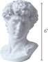 Greek Statue of David - Head Bust for Mythology and Roman Home Decor...