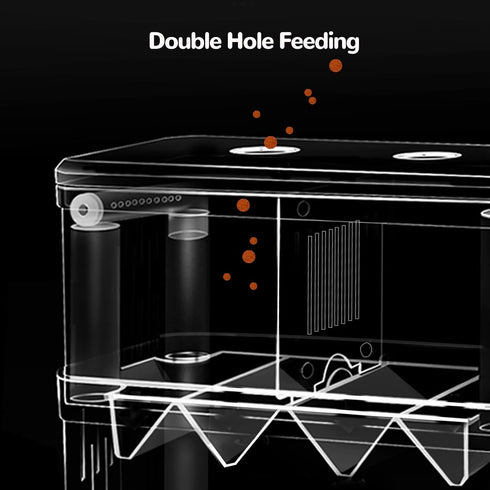 J-star Extra Large Fish Breeder Box, Acrylic Aquarium Breeder Box, Fish Isolation Box for Betta, Guppy, Killifish, Shrimp, Clownfish etc....