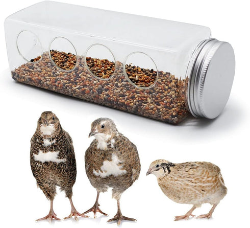 Button Quail Transparent Feeder Feed Box Seed Food Container (4 Holes)...
