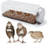 Button Quail Transparent Feeder Feed Box Seed Food Container (4 Holes)...