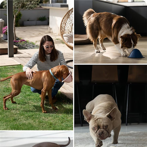 Gerrit Dog Treat Chew Toy, Dog Treat Toys Interactive Entertainment & Mental Stimulation, for Small, Medium, Large Breeds for Mental Stimulation, ...