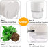 Self Watering Planters for Indoor Plants, 3 Pack 6 Inch African Violet Pots, Modern Decorative Flower Pots with Transparent Water Reservoir, Perfe...