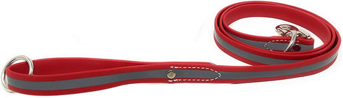 Regal Dog Products Reflective Leash – 5 ft. Dog Leash with Easy to Use Collar Hook, Lightweight, and Proof Training Pet Lead for Small, Medium, La...