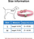 Pimaodog Cute Dazzling Sparkling Elegant Fancy Skull Diamond Crystal Rhinestone Leather Small Pet Dog Cat Collar Puppy (M:27-35CM, Pink)...
