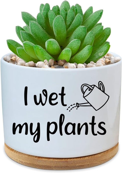 Funny Ceramic Succulent Cactus Planter Pot - I Wet My Plants White Mini Cactus Plant Office Garden Home Decor for Teacher, Mom, Grandma, Plant Lov...
