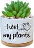 Funny Ceramic Succulent Cactus Planter Pot - I Wet My Plants White Mini Cactus Plant Office Garden Home Decor for Teacher, Mom, Grandma, Plant Lov...