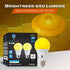 4-Pack BlueX A19 Amber Yellow LED Bug Light Bulb No Blue Light Outdoor 650 Lumens 120V E26 Medium Base LED 9.5 - Watt (60-watt Replacement) A19 Ou...