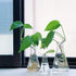 Glass Erlenmeyer Flask Set 50ml 150ml and 250ml, Narrow Mouth Graduated Flasks, 3.3 Borosilicate Glass, Ideal for Laboratory, Classroom or Home Us...