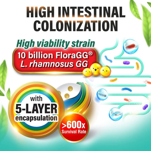 LABO Nutrition FiberGG, Lactobacillus Rhamnosus GG 10 Billion CFU Active Probiotics and 7g Sunfiber Prebiotic Fiber Supplement, Support Healthy In...