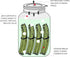 Sophico Silicone Fermenting Lids, Waterless Airlock Fermentation Tops Mason Jar Lid Fermenter Caps for Pickles, Kimchi, and Fermented Probiotic Fo...