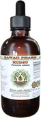 Hawaii Pharm Kudzu Alcohol-Free Liquid Extract, Organic Kudzu (Pueraria lobata) Dried Root Glycerite Natural Herbal Supplement 2 oz...