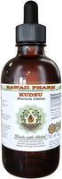 Hawaii Pharm Kudzu Alcohol-Free Liquid Extract, Organic Kudzu (Pueraria lobata) Dried Root Glycerite Natural Herbal Supplement 2 oz...