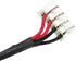 GinTai DC Power Jack with Cable Harness Replacement for Toshiba Satellite P755-S5320 P755-S5375 P755-S5380 P755-S5381 P755-S5182 P755-S5198 P755-S...